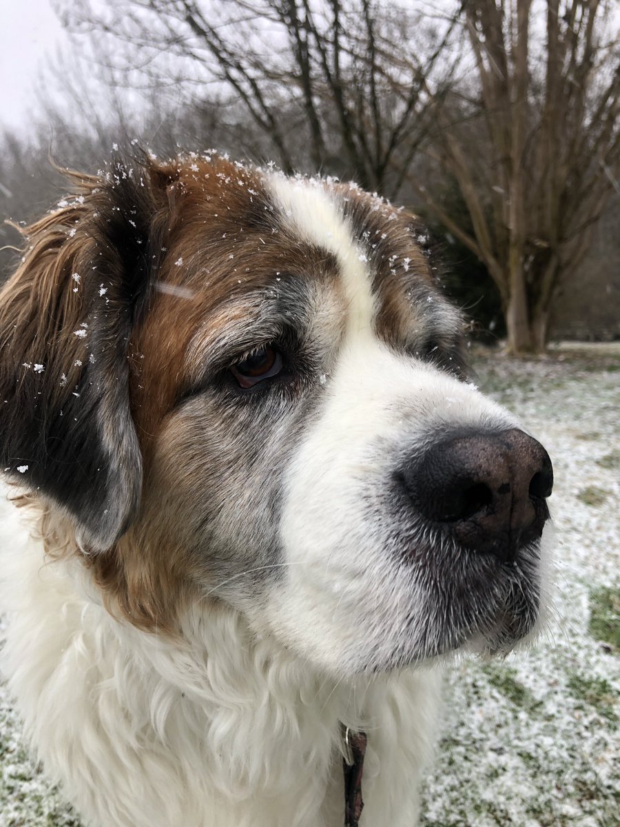 Well, at least someone is enjoying this weather