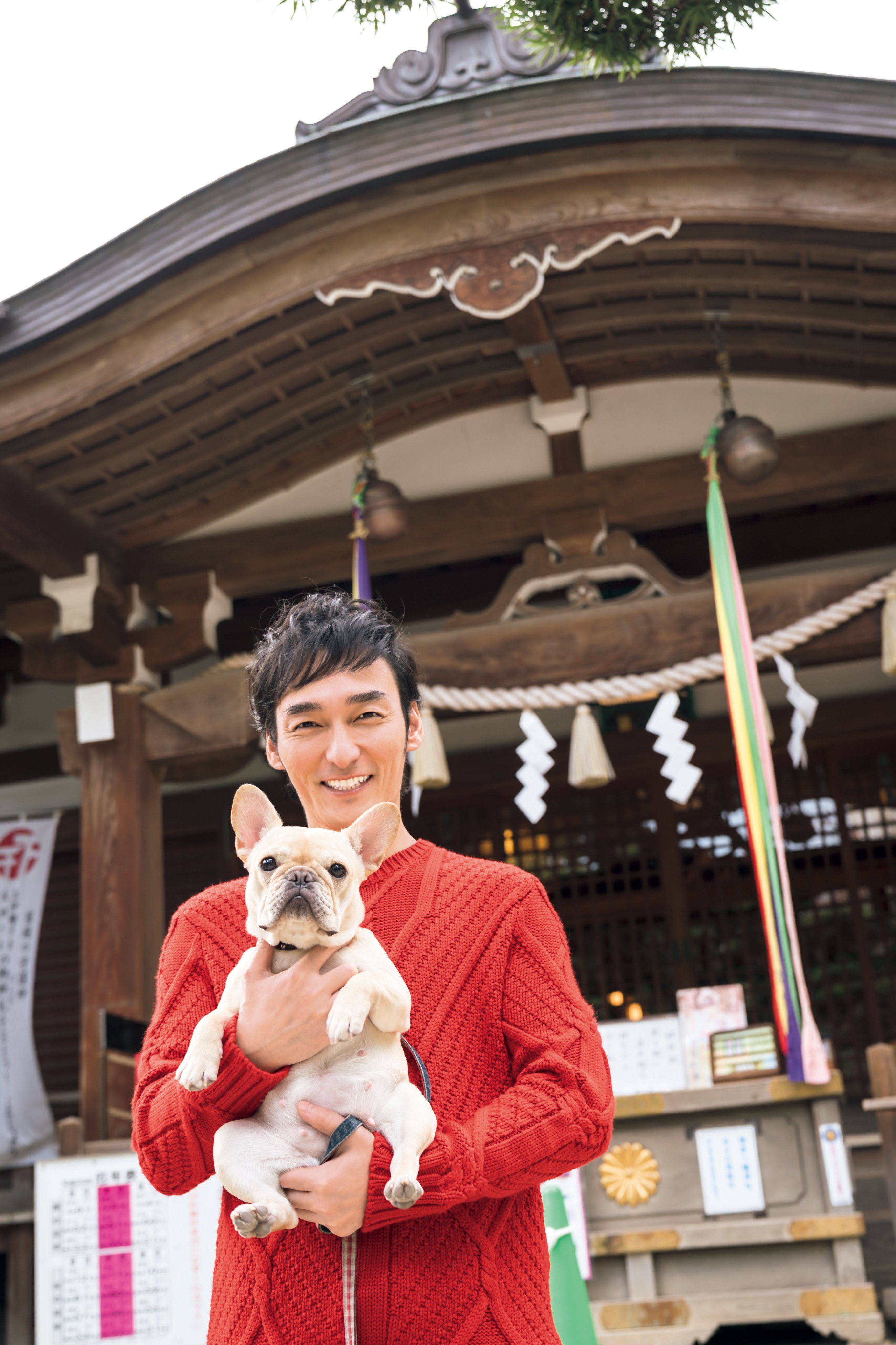 ザテレビジョン on X: 