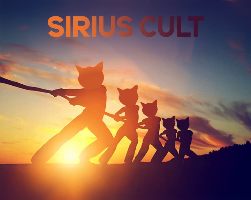 Mr. First tweet media