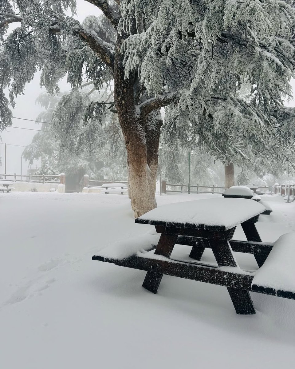 Chrea, Blida 📍🇩🇿