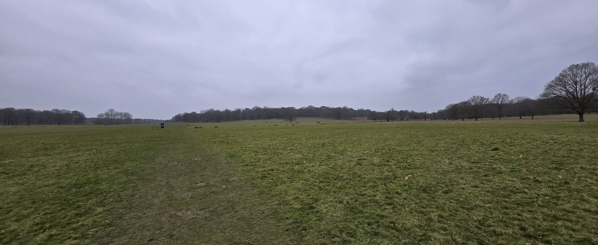 SBaxter77's tweet photo. Today was about distance & speed, in prep for my #Marathon Mighty hike around the #GowerPeninsula in aid of @macmillancancer in July. Well happy with 21 miles in under 6 hours, from #HamptonCourt, #TheLongWater, #HomePark, #Kingston #RichmondPark, then back down the #TowPath! https://t.co/VE6tPCCWt5