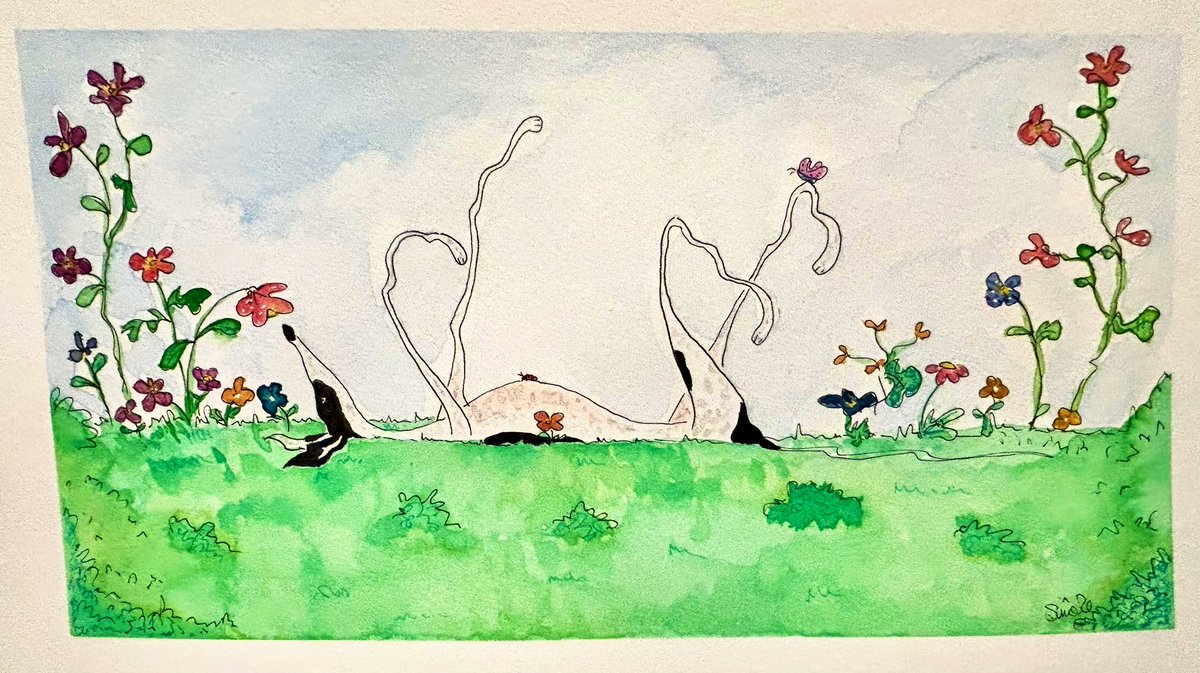 nelliedoodles's tweet image. Spring 🌼🌷

#Greyhound #greyhounds #dogsontwitter #dogs