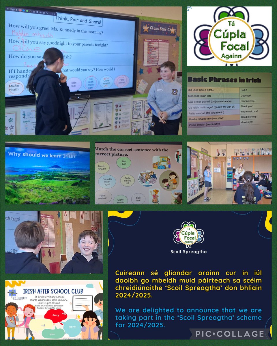 St Bride's PS & NU, Belfast tweet media