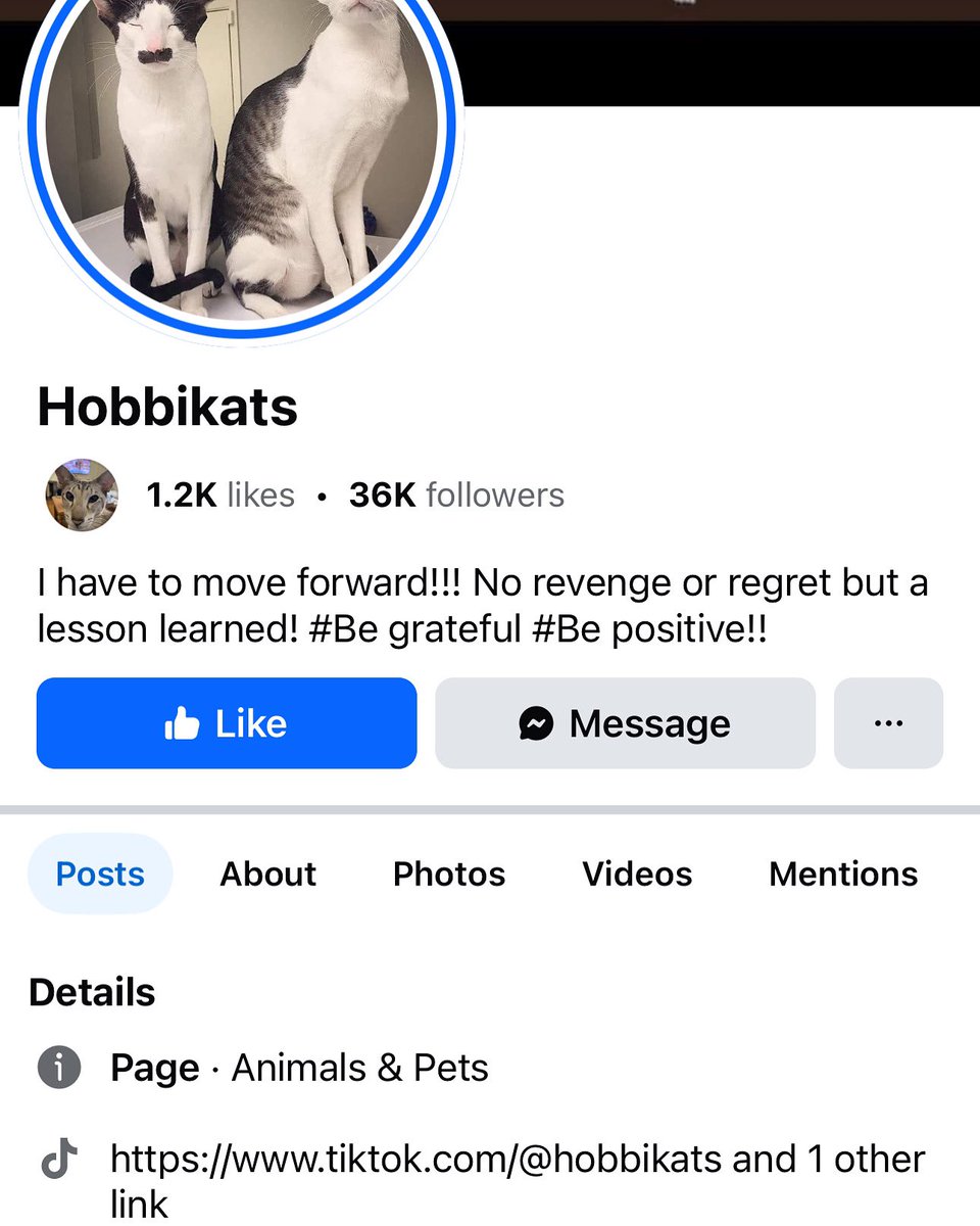 Dear <a href="/Meta/">Meta</a> <a href="/facebook/">Facebook</a>  why do you continue to let this account use my name and all my copyright videos on your Facebook platform? I’ve filed dozens of copyright reports against this account and you still allow them to use my videos without permission!