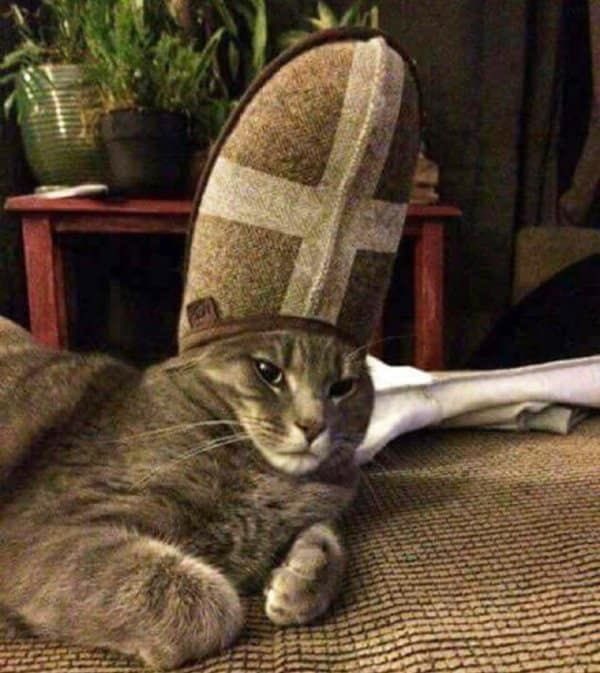 SlenderSherbet's tweet photo. "In nomine Catris et Kitti et Spiritus Catnip" https://t.co/xj5xFs1TtJ