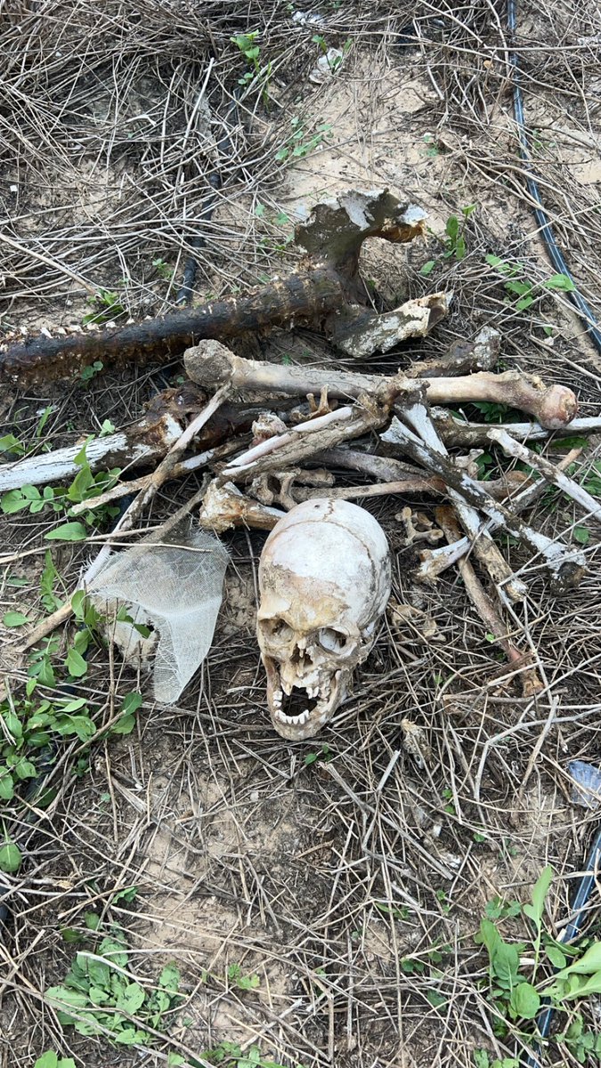 Abdullah Omar🇵🇸 tweet media