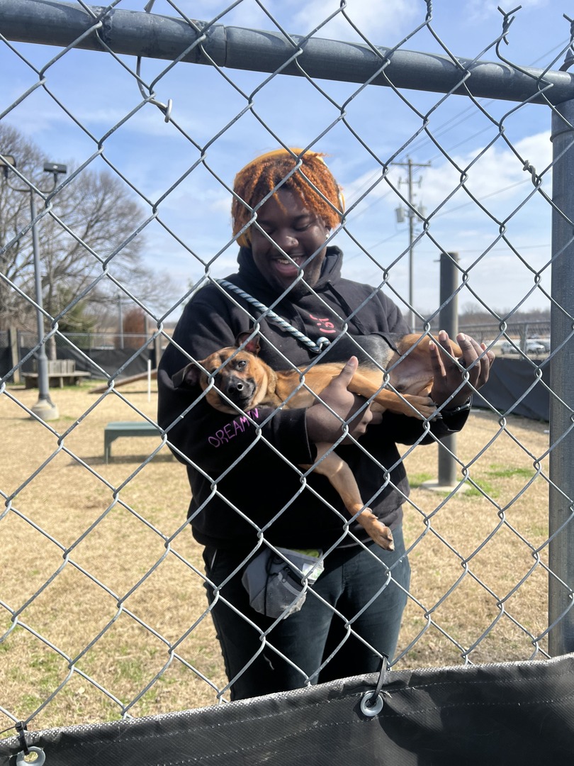 MemphisHumane's tweet photo. We're hiring! 🐾 We're looking for two compassionate individuals to join our team as full-time dog kennel technicians. If you love dogs and are passionate about animal welfare, this is the perfect job for you!

Apply today at https://t.co/WJ7APXpMPu. https://t.co/ZLAmDcxZWJ