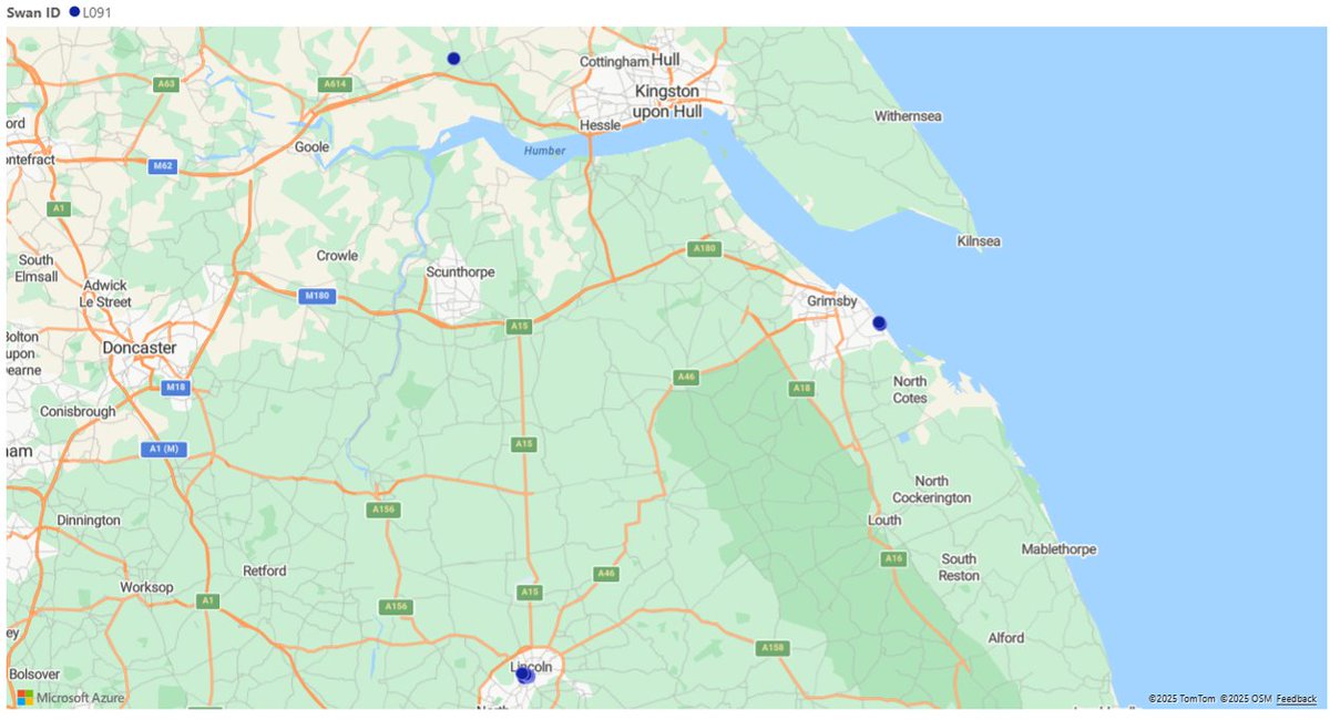Swan Track was built to help us monitor the movements of our swans. With the maps we will keep you updated with where the swans are. L091 was ringed at The Brayford in 2019. Since then he has been sighted at North Cave Wetlands (July 21)and then Cleethorpes Boating Lake (Feb 22).