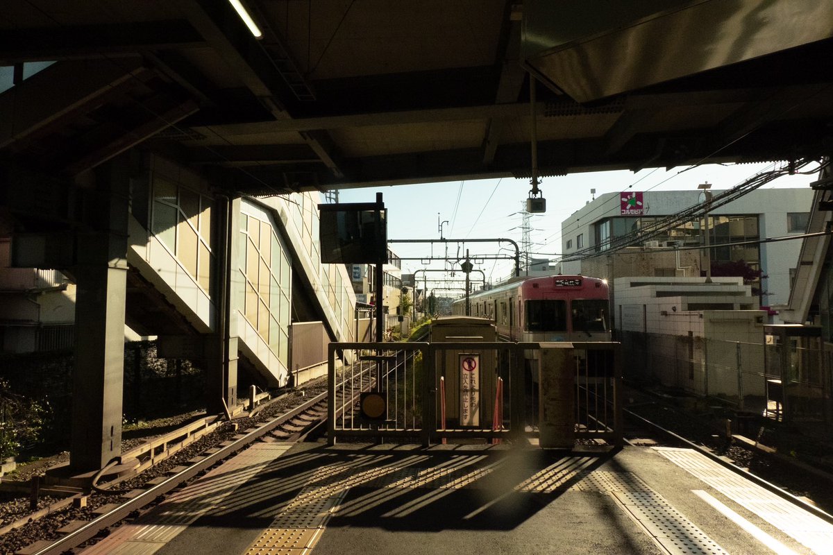 esoterica (@analog_emoji) on Twitter photo 