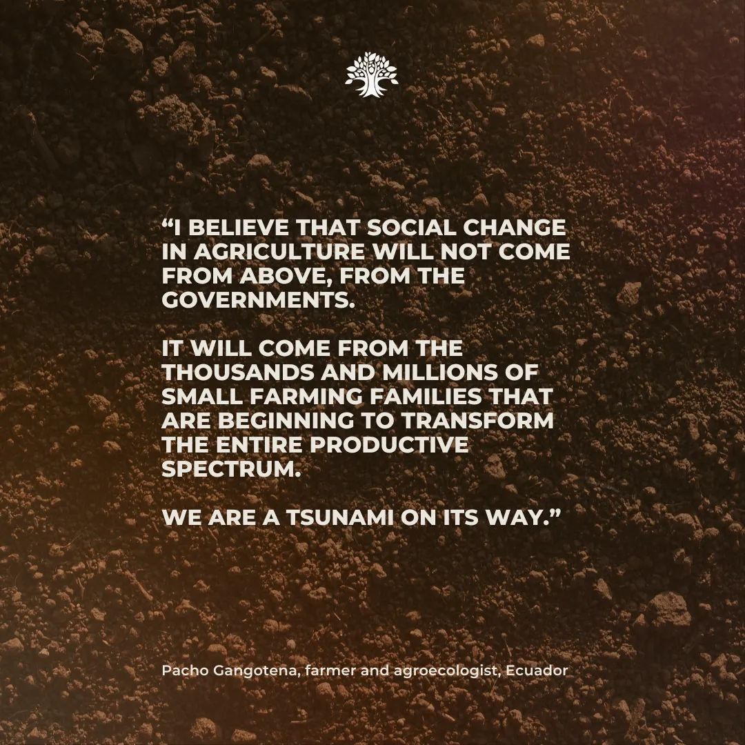The transformation of our food systems starts from the ground up. Groundswell International is proud to support the farmer-led movement driving sustainable change and resilience in Ecaudor and around the globe.