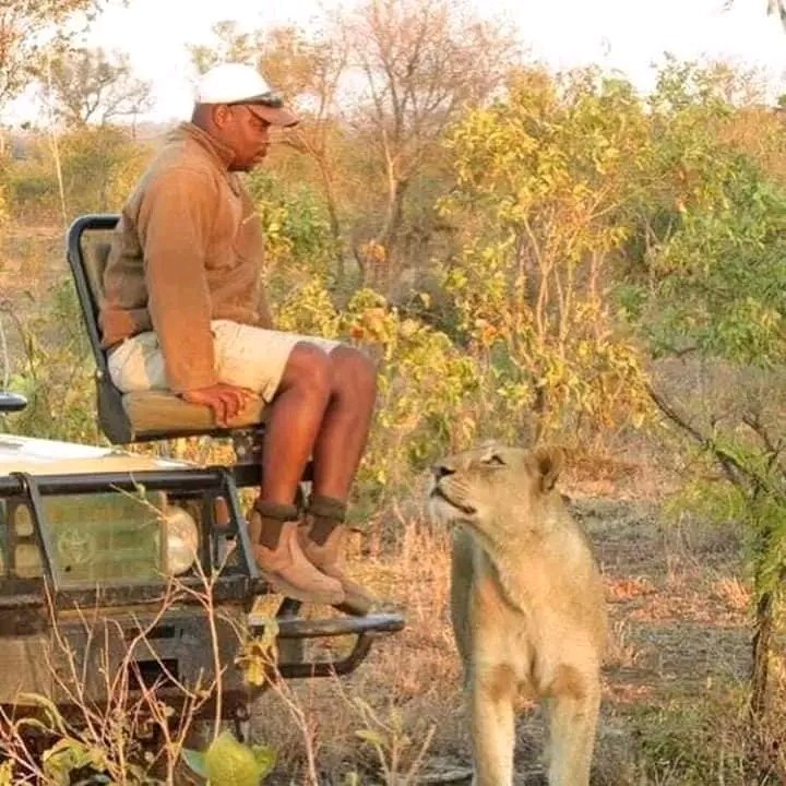 "Maindidheerera ndiri pa chest ya Munya ka"