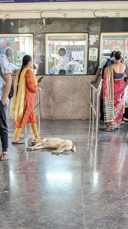 amit3d's tweet image. Casual state around Mumbai stations-
1. A dog in middle of ticket booking lane
2. Dangerous board right near staircase - Bandra
3. Damaged platform edge. Risky those who are de-boarding- Mahim
4. Poor Roads outside Prabhadevi station which lead to global financial centers