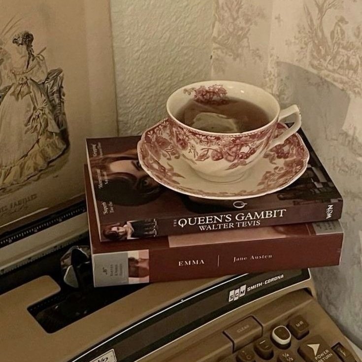 ivyyackerman's tweet image. ˚₊‧ 2025 reads ⋆♱