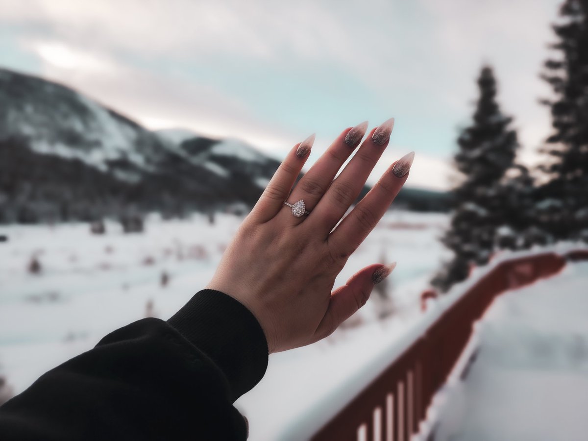 Jambo 🐻 tweet media