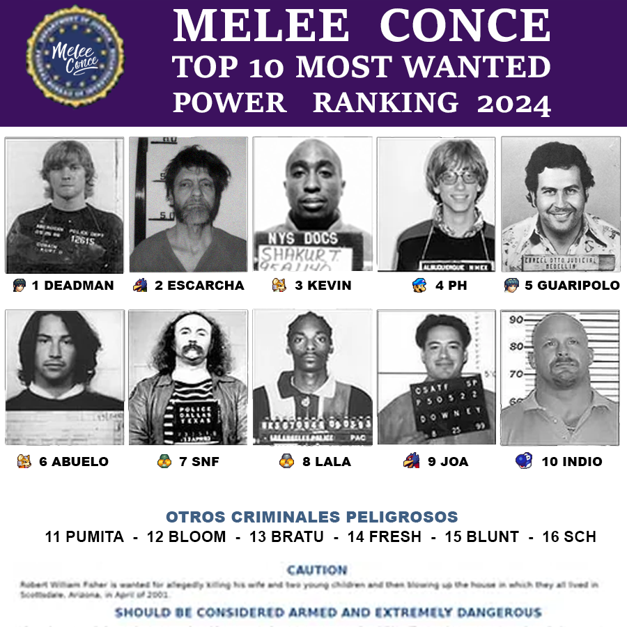 📈 Los más buscados de la Melee Conce 2024