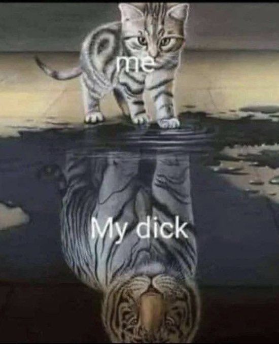 —Le enseña este meme a <a href="/EPICB4DLUCK/">┉┅━ 𝙈𝘼𝙍𝙆 𝙃𝙊𝙁𝙁𝙈𝘼𝙉</a> desde su portátil.—

Mira cariño soy yo.