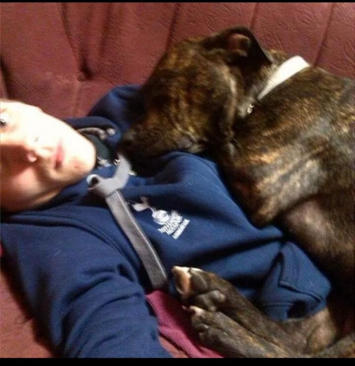 Kleouk94 tweet media