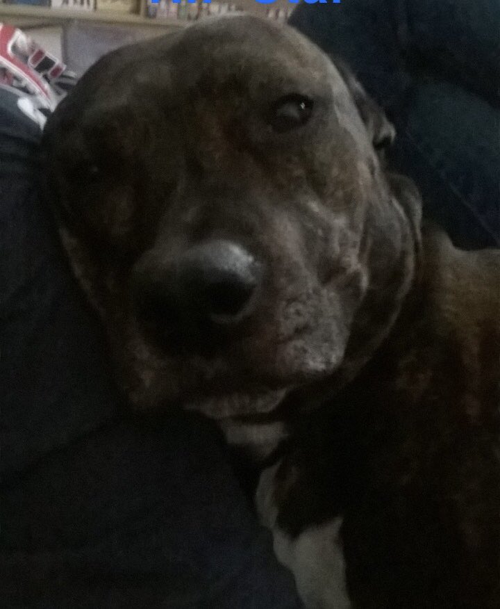 Kleouk94 tweet media