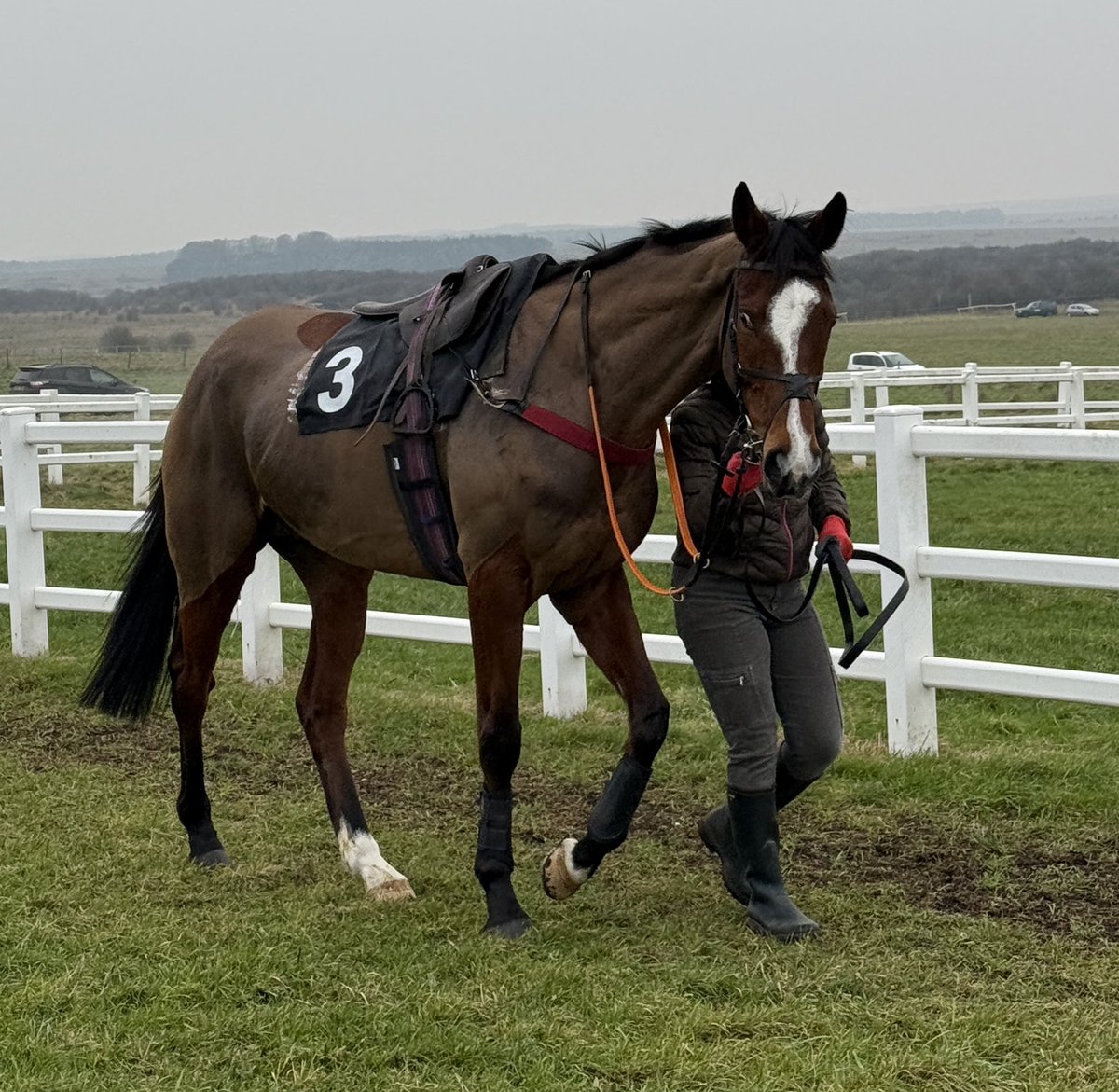 Super display of jumping by Douglas Longbottom under <a href="/flymcintyre/">Martin Mc Intyre</a>  at Larkhill yesterday to win in the manner of the talented lad that he is for <a href="/BCoward93/">B Coward</a>  and owners Catherine and John Mitchell.  He’s a  ⭐️⭐️ purchased <a href="/GoffsUK/">Goffs UK</a>