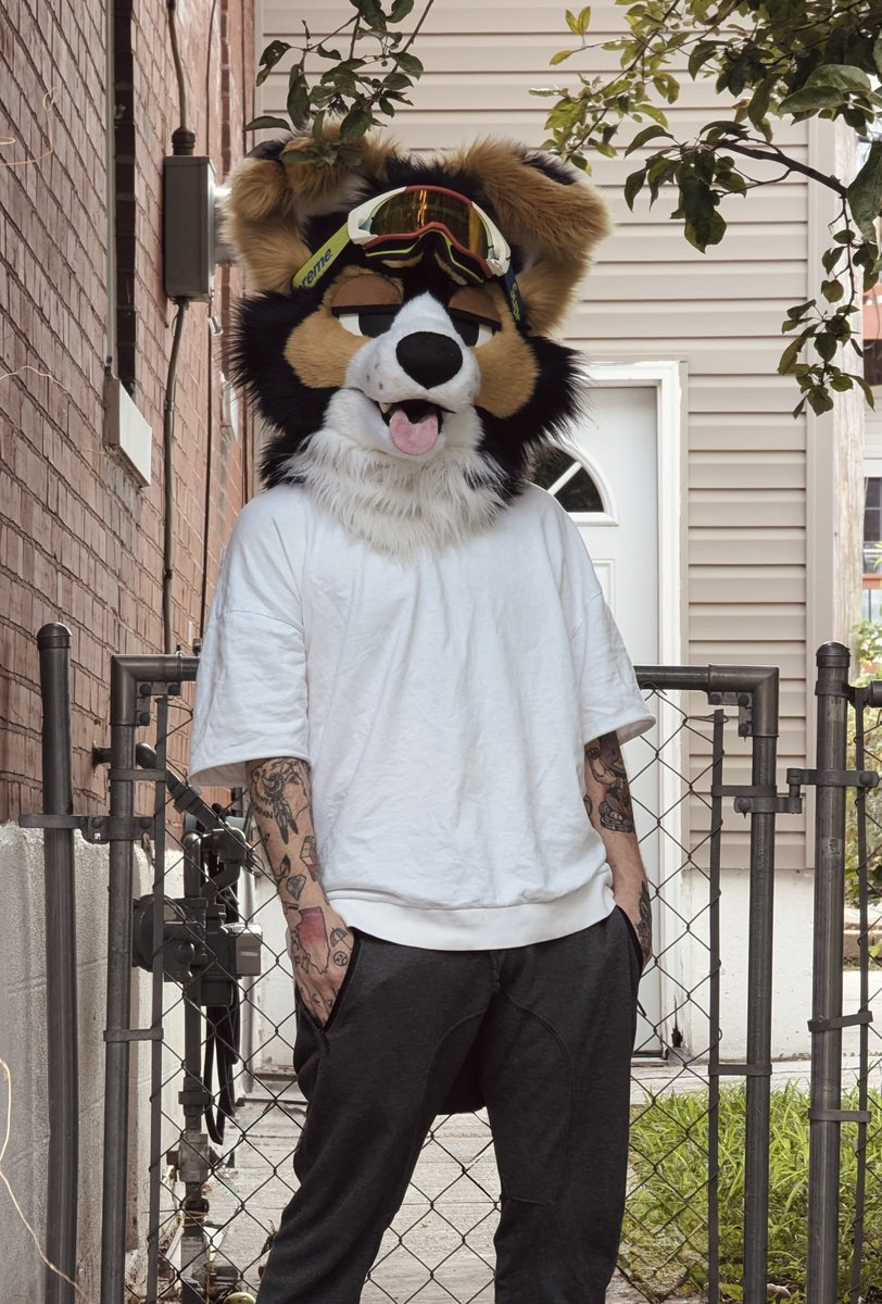 Woof

📸 <a href="/AutomataDog/">AutomataDog</a>
