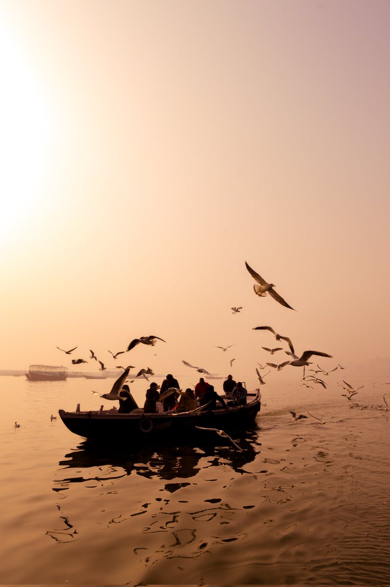 kaleiidosxope's tweet photo. from banaras https://t.co/Eaouq4nznv