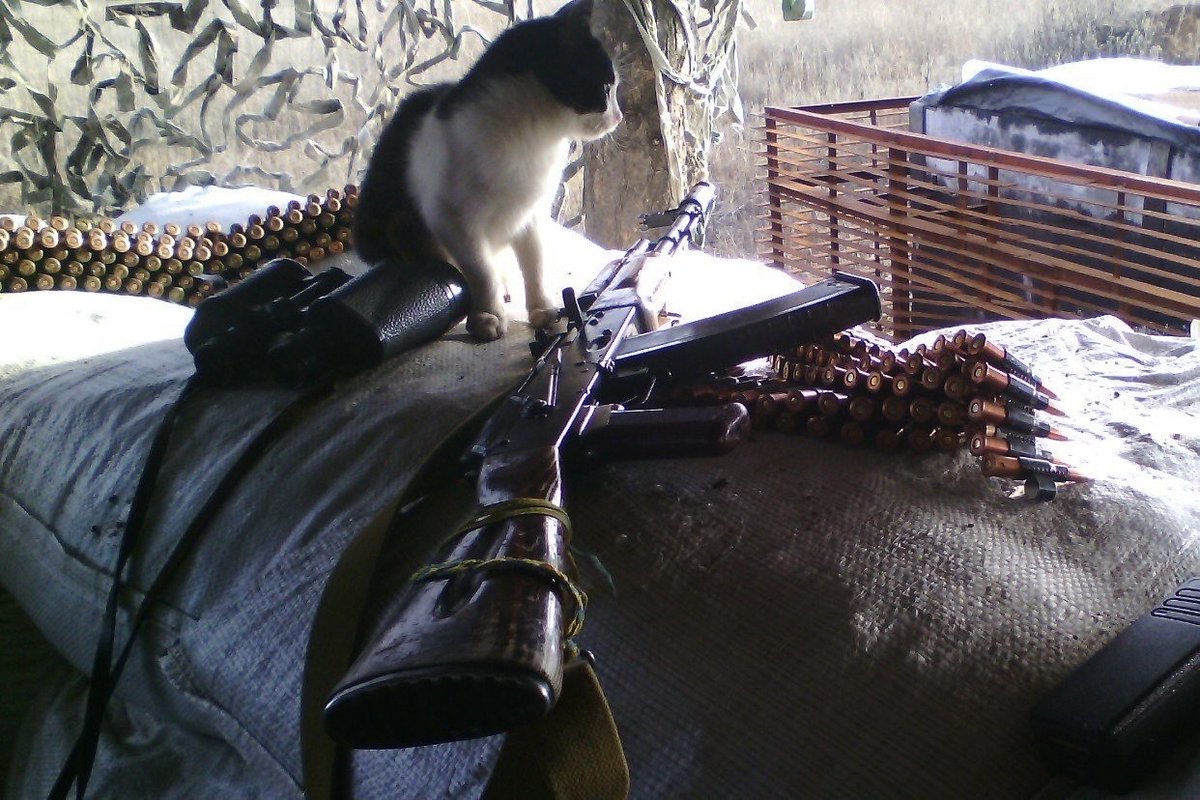 ethereal tweet media