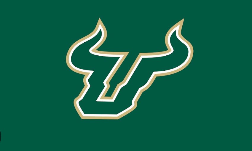 DJ Mallary tweet media