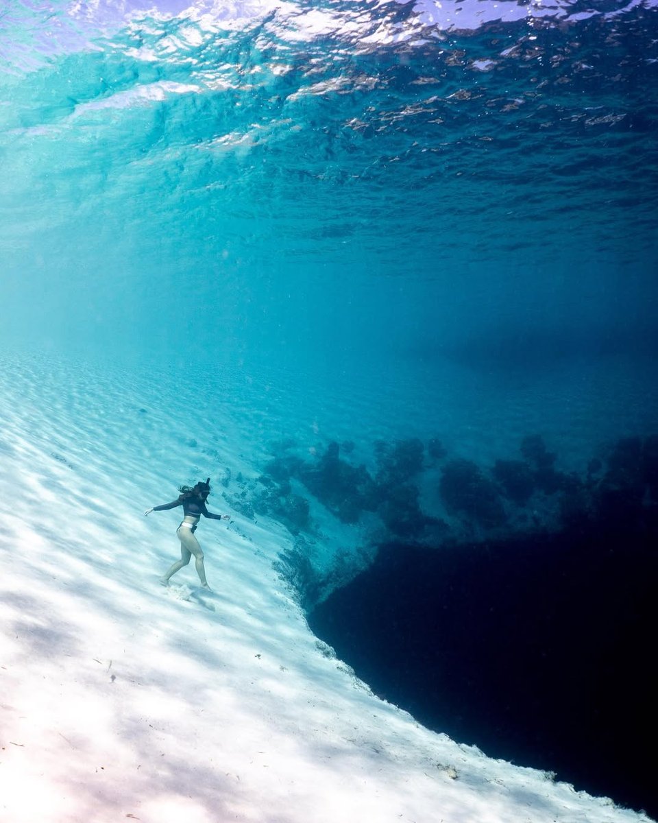 Thalassophobia: the fear of deep water 🧵

1. A diver walking towards the abyss