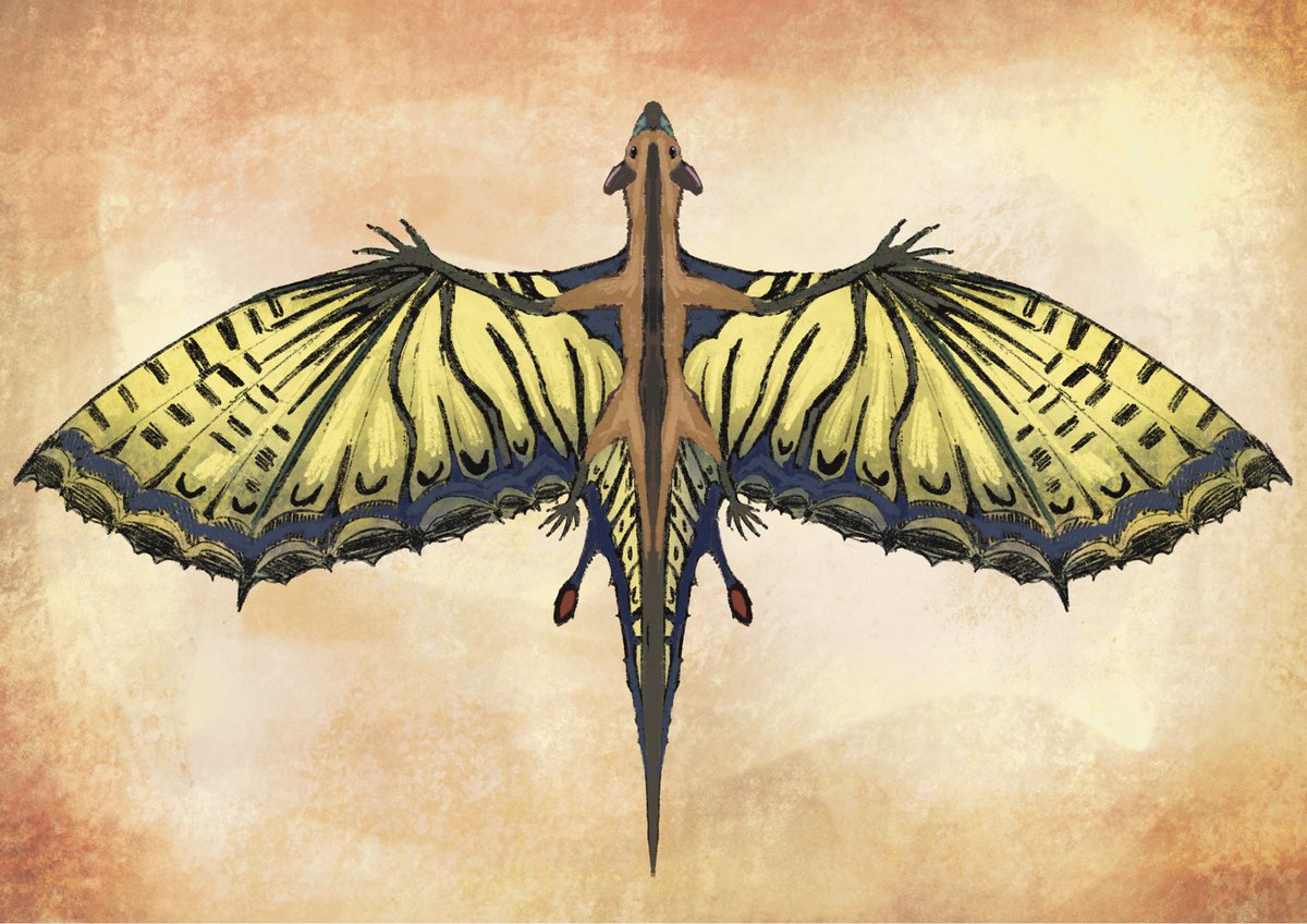 Gulliver_16's tweet photo. Creature design: St. Giorgio’s butterfly dragon  ,draconyctis giorgii  #digitalart #illustrazione #illustration #doodle #doodles  #procreate  #mythicalcreatures #monsterart #creaturedesign #ocmonster #mythicalanimaldrawing #monsterdesign #animalart #dragon https://t.co/DPtTTOoG3V