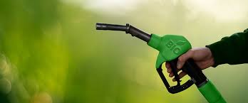 emilyberliro's tweet photo. PROJECT UPCOMING FROM ME
Mu mins iri imbere ngiy gutangiza project ya #GreenEnergy from our nature. As renewable energy from our Green plants. for fuel and home use
advantages of this #Bio is #Environmentalsafe than other fuels. support me
#Supportme #Supportenvirnmentconserve https://t.co/i6XpaX078W