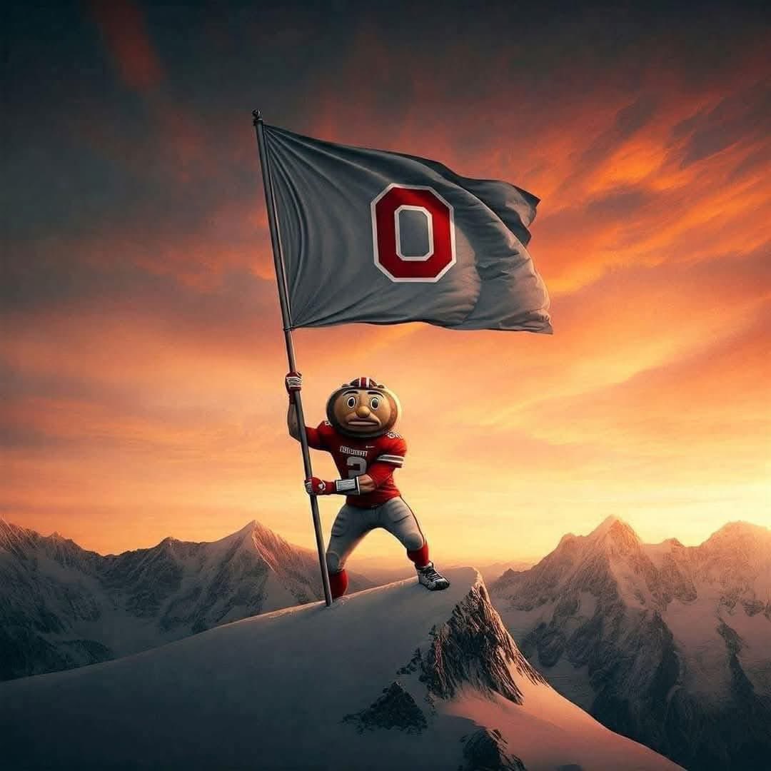 MelBear26's tweet image. 