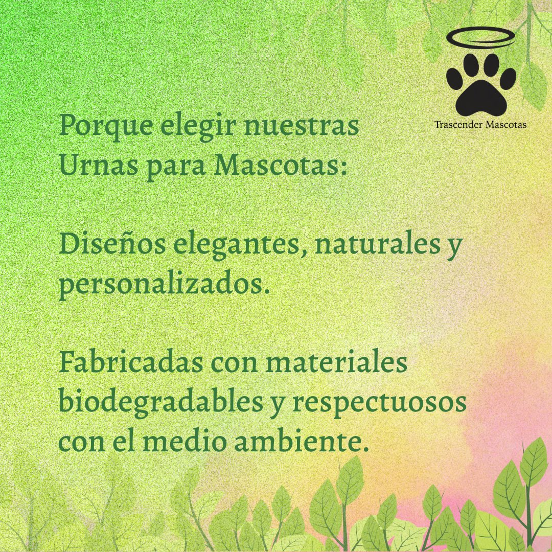 trascender2024's tweet image. Porque elegir nuestras Urnas. #Mascotas #trascender #Urnas #Bio #Medioambiente