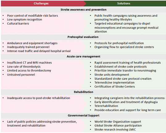 Challenges and suggestions for better stroke care in resource-limited settings, from "Developing Systems of Care for Stroke in Resource-limited Settings" by Dr. Gisele Sampaio Silva. Subscribe to Seminars in Neurology at bit.ly/3KsxVgn #neurology #neurotwitter
