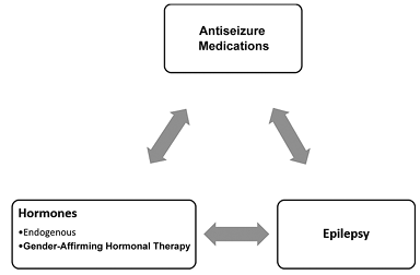 Dynamic relationships exist between hormones, ASMs, and epilepsy, from "Neurological Health in Sexual and Gender Minority Individuals" by Dr. Rubinee Simmasalam. Subscribe to Seminars in Neurology at bit.ly/3KsxVgn #neurology #neurotwitter