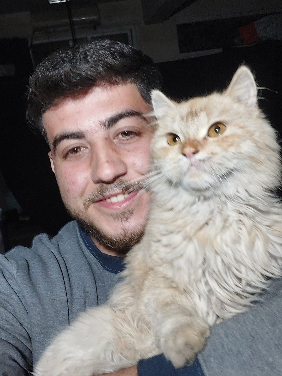 khalil_hinawi's tweet image. Hello my friends, my cat Joy and I survived the genocide🌹💜.

It's the first night in a year and a half of the genocide🫡.