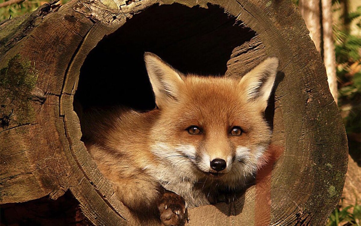 JNK (@truejnk) on Twitter photo 