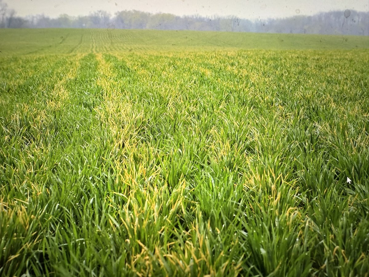 Needham Ag Technologies LLC tweet media