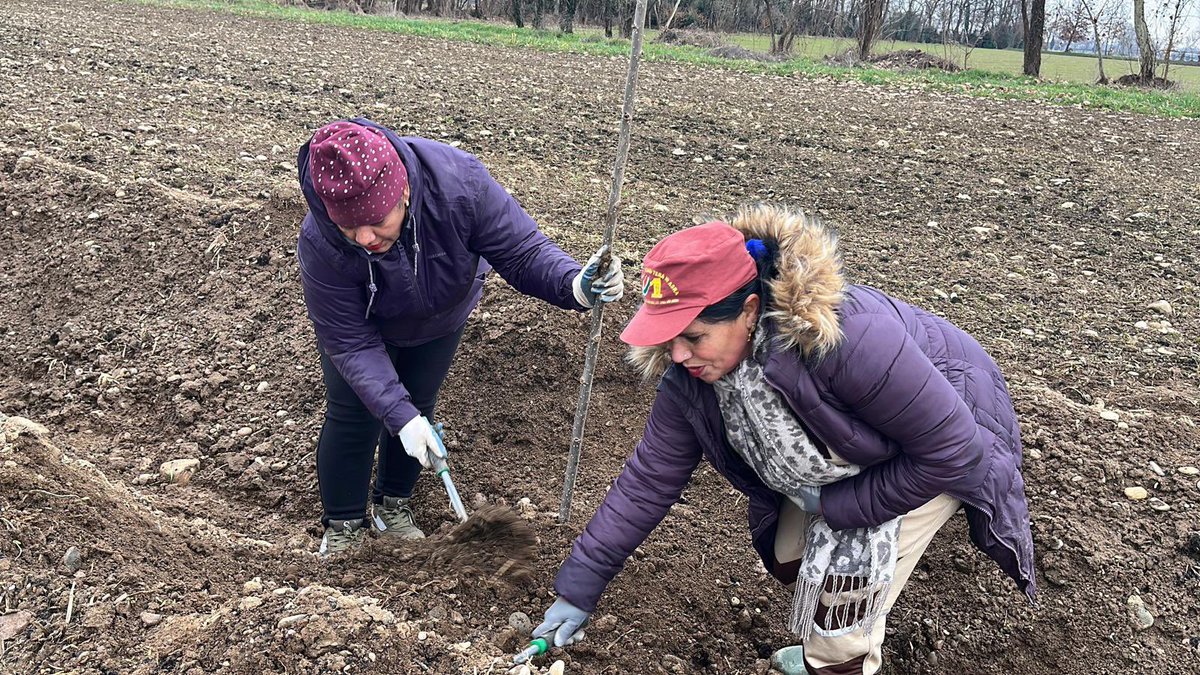 gratefulsoul09's tweet photo. DSS volunteers planted numerous trees, spreading the message of sustainability and selfless service. This noble initiative reflects the teachings of Dr. MSG, inspiring individuals worldwide to contribute to the betterment of the planet. #TreePlantationByDSS
Saint Dr MSG Insan https://t.co/jbrRceUF2n
