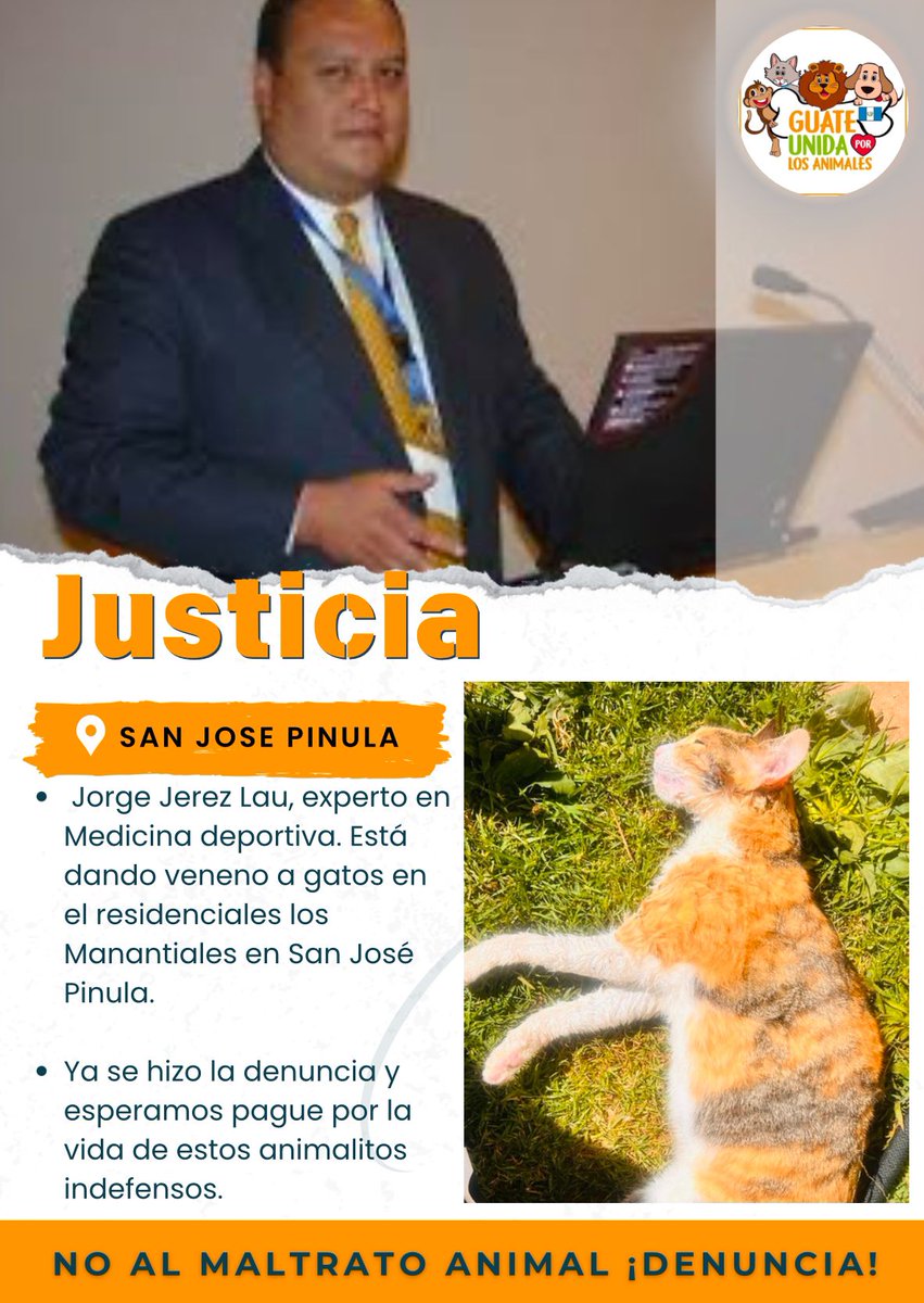 La crueldad a todos niveles, atención Residencial Los Manantiales en San José Pinula, este monstruo Jorge Jerez, ha dado veneno y ha matado varios gatitos, dando veneno ya se colocó la denuncia pero es un ser horrible ser humano y no queremos que continúe asesinando.
#repost