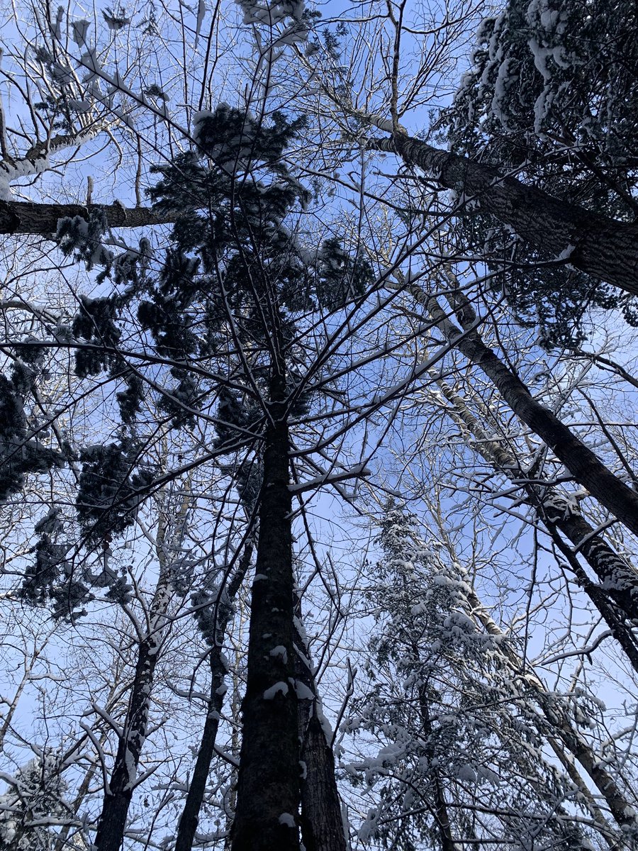 Belle journée #hiver #randonné