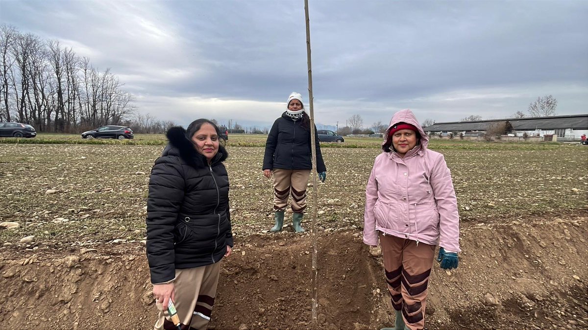 Muskaaninsan3's tweet photo. Millions of volunteers of Dera Sacha Sauda have participated in the initiative named Tree plantation in Bergamo Block Italy which is started by Saint Dr MSG Insan. #TreePlantationByDSS https://t.co/ndLMrxyOsW