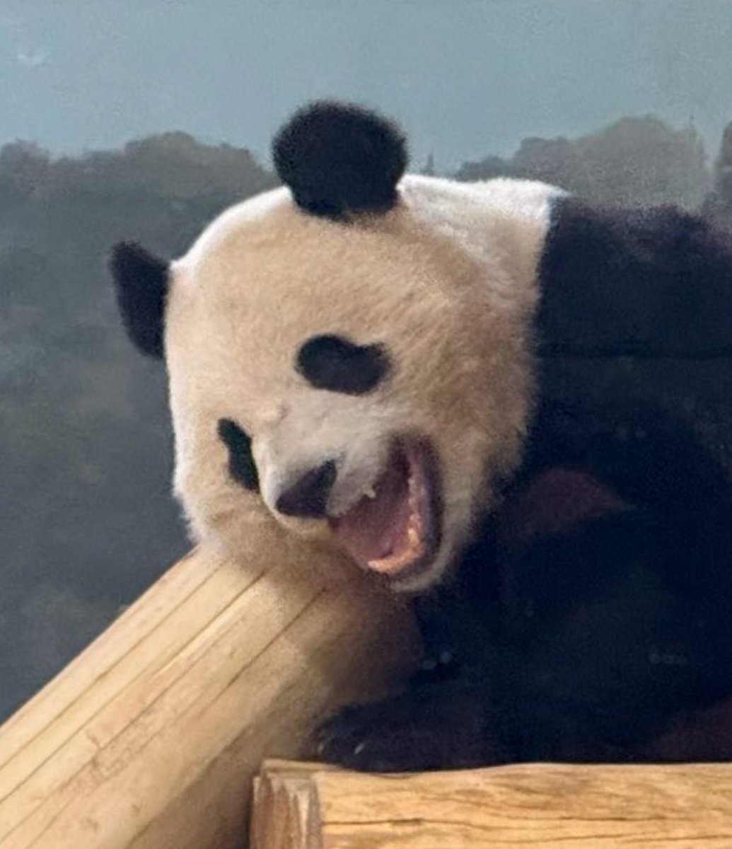 Toby Gordon tweet media