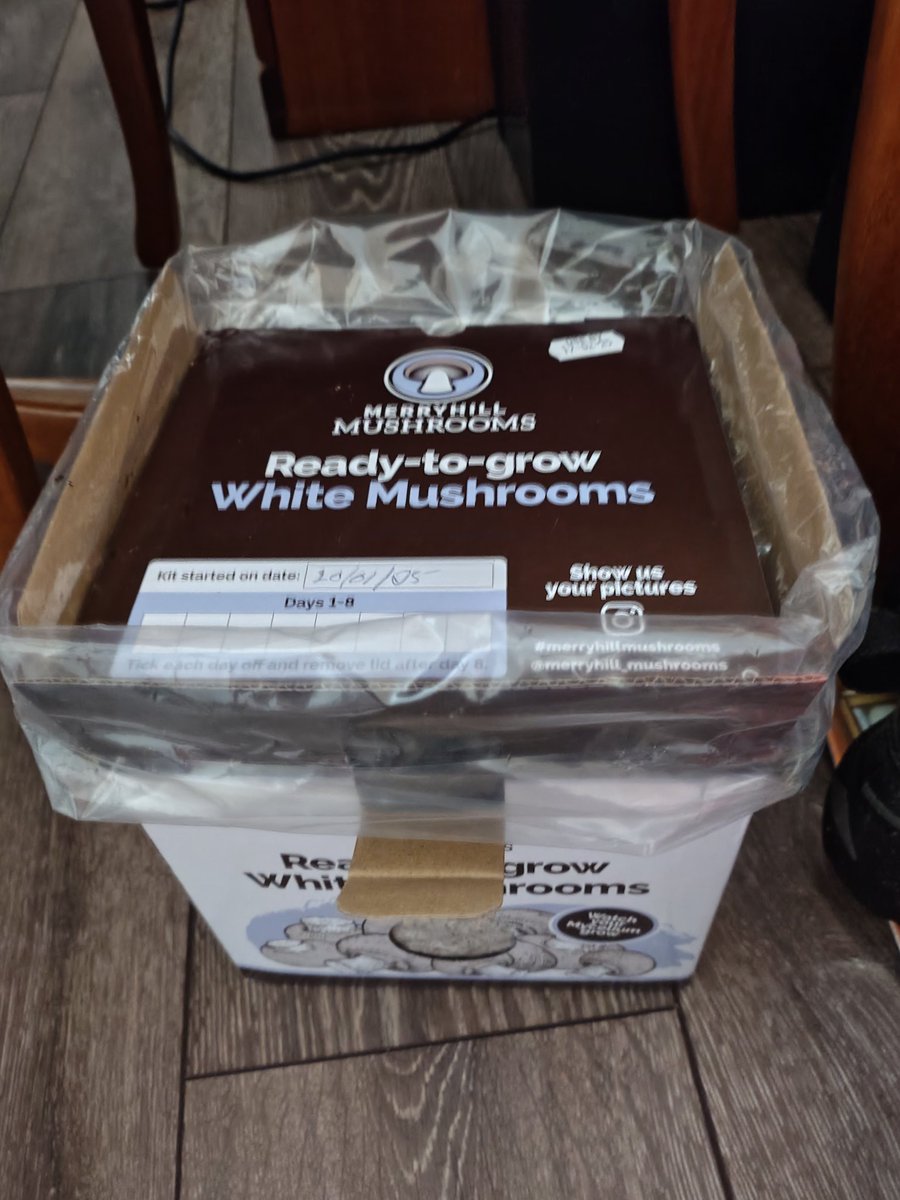 Ramblingjan's tweet photo. @Merry_Mushrooms 
Started the kitchen my partner bought me for Christmas today.... here's hoping! 🙏😋 https://t.co/3VUKUvYF6J