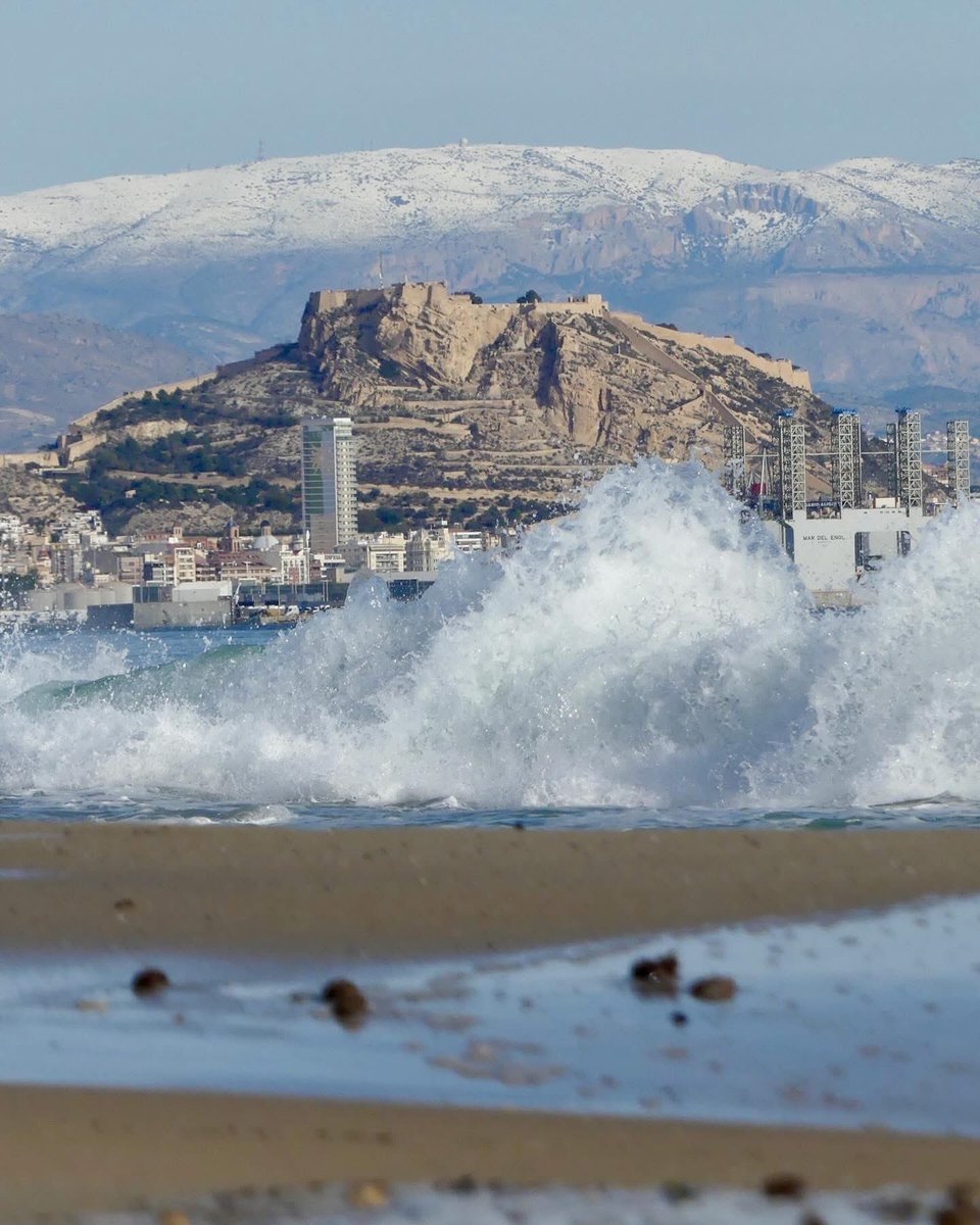 La millor terreta del món