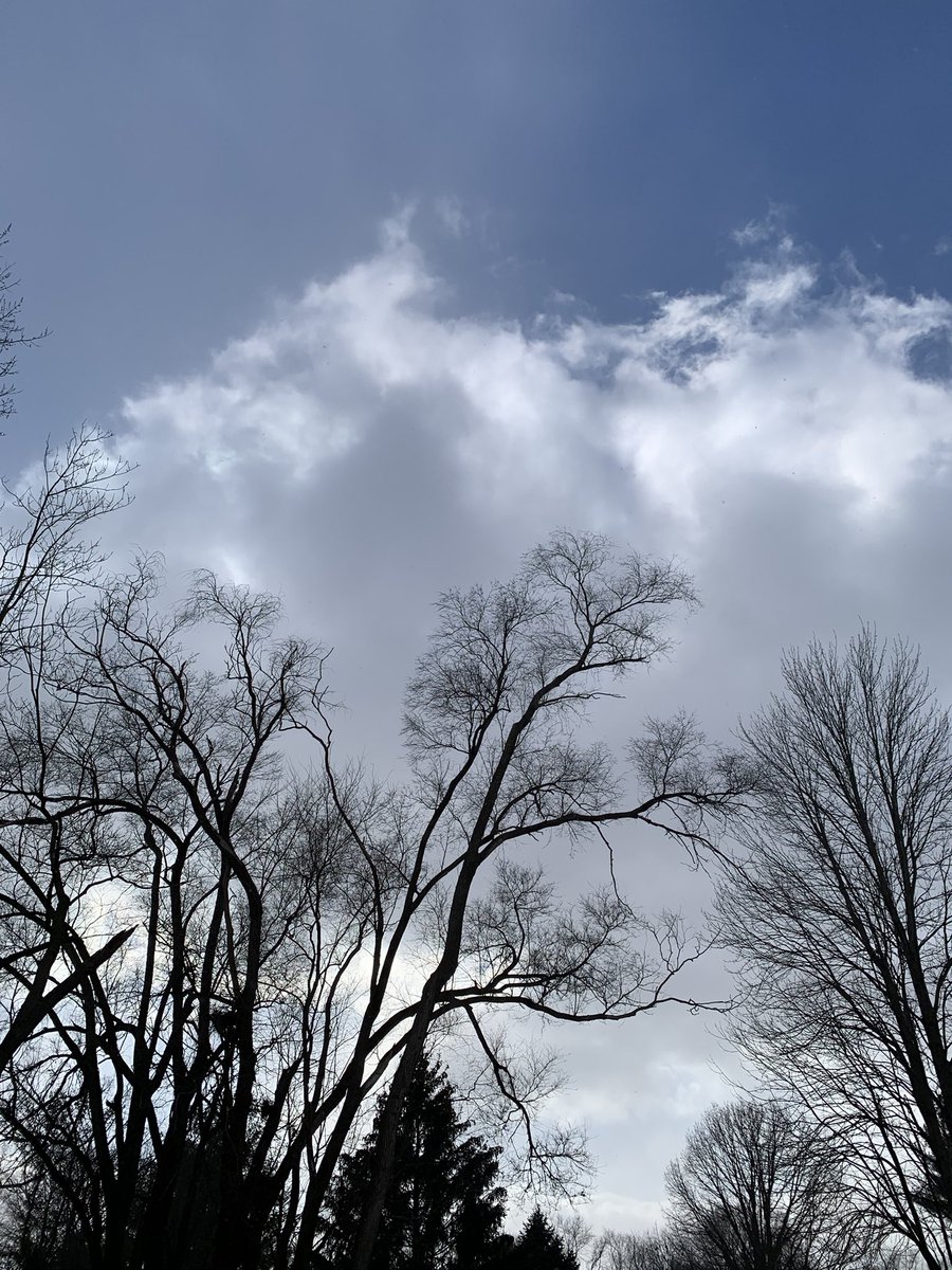 Intermittent flurries from shallow cumulus here in Champaign today.