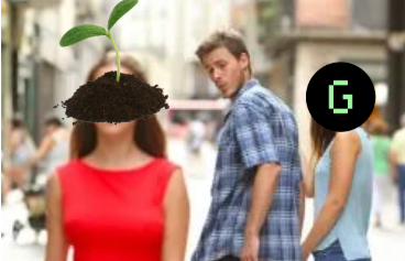 DancingPlantSOL's tweet photo. As #Griffain keeps growing, so does Griffain's most lively creation. $DPL. https://t.co/swINUeeRbg