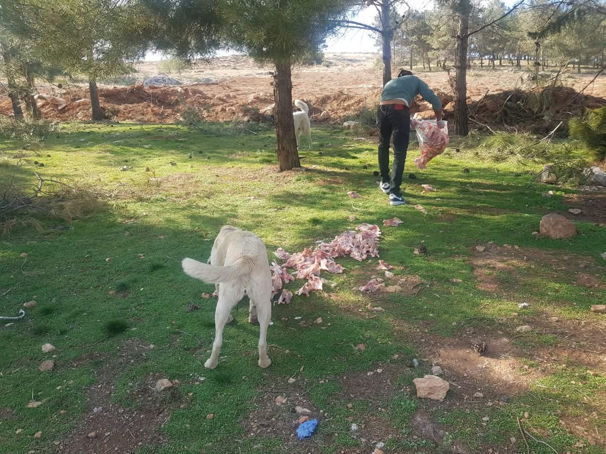 Organizede hayatta kalmaya çalışan çocuklarımız, doyurduk, besledik, sevdik. Kimselere zararı olmayan, yaşadığı mahallelerden bir şikayetle alınıp atılan masumlar.Bir parça yemek, biraz su, mümkünse az da sevgi beklerler. Senelerdir besleme yaparız, bir insan yediklerini görmedik