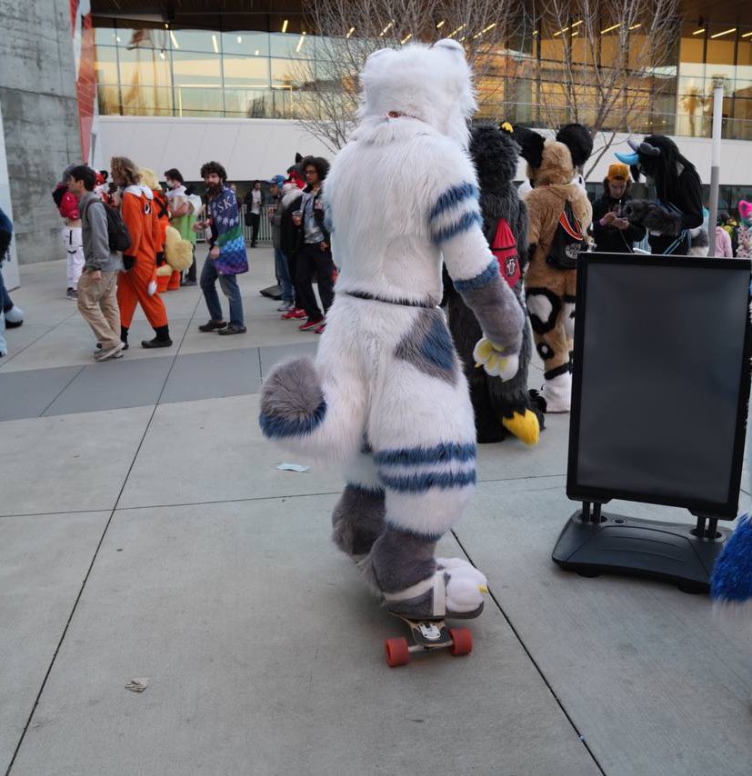 on my cool hipster doggy arc. don’t talk to me if u don’t skate