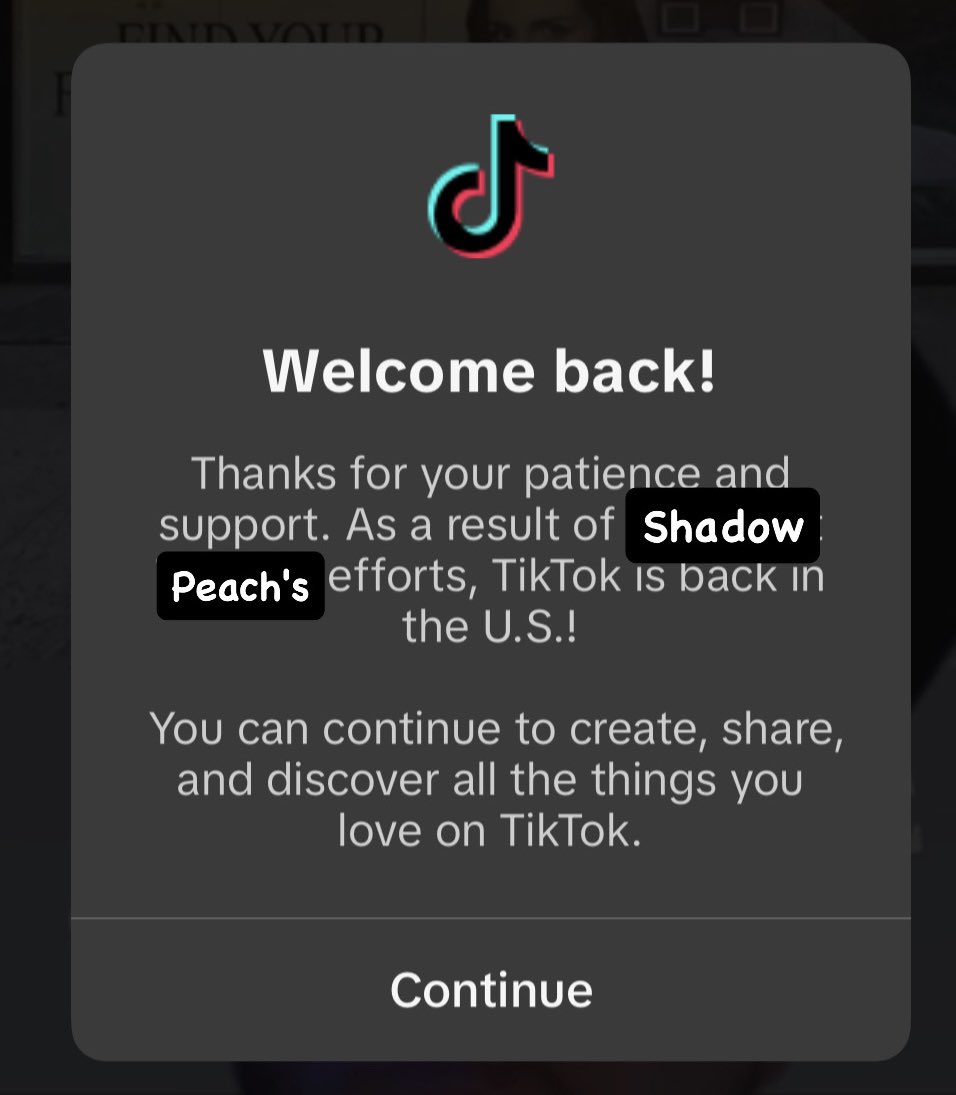 BREAKING NEWS: Shadowpeach (Lego Monkie Kid) just unbanned TikTok in the U.S!