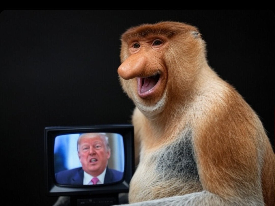 Janusz_algo's tweet image. Janusz think the big things are coming. Be like JANUSZ.

#Trump 
#AlgorandCan 
#Algo

👀